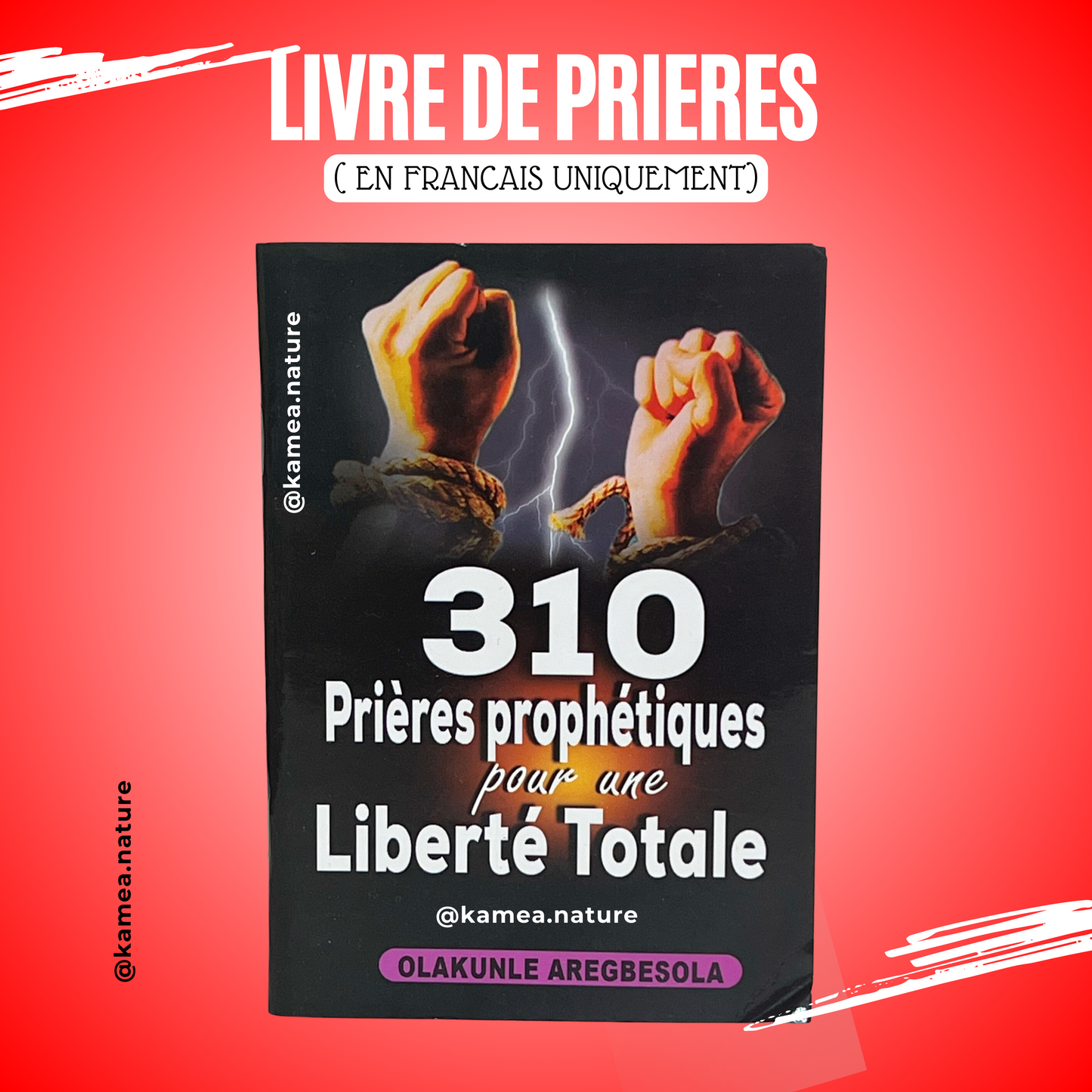 LIVRET 310 prières pour une libération totale