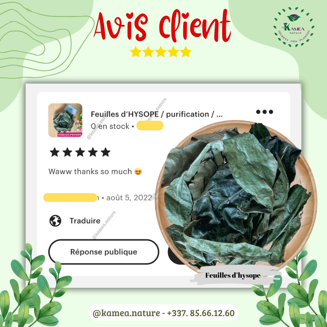 Feuille d’hysope - HYSOPE AFRICAIN - purification - chance - Desenvoutement - deblocage