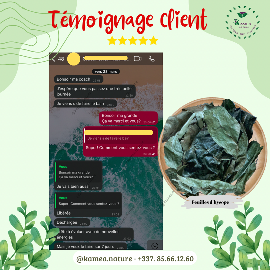Feuille d’hysope - HYSOPE AFRICAIN - purification - chance - Desenvoutement - deblocage