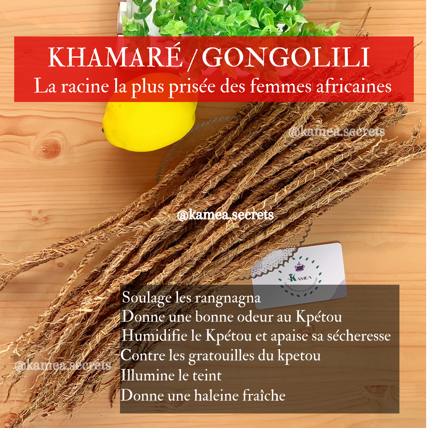 Khamare - Racine de Vetivier Africain - Sepp - Gongolili