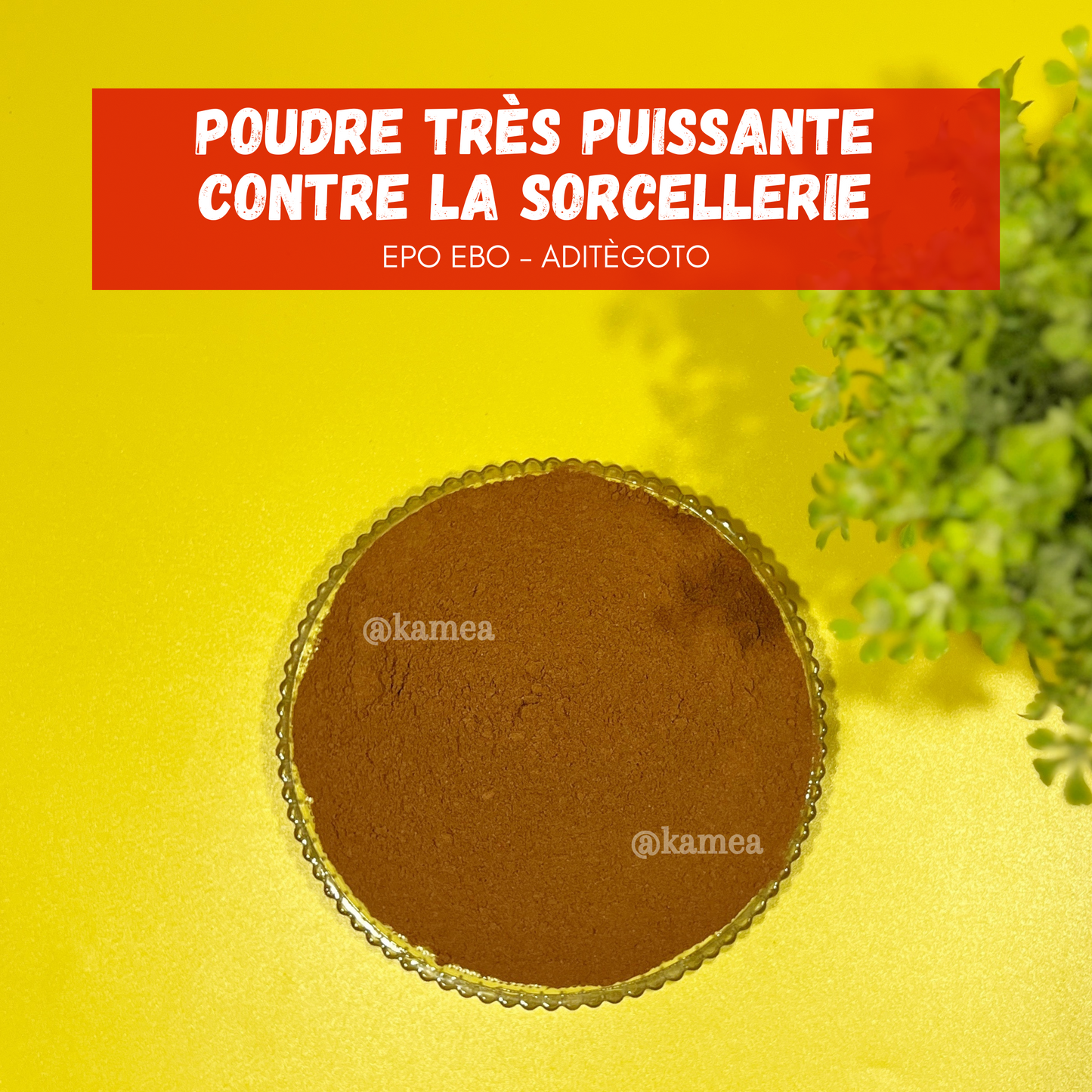 Puissante poudre ANTI-SORCELLERIE - EPO EBO - ADITÈGOTO
