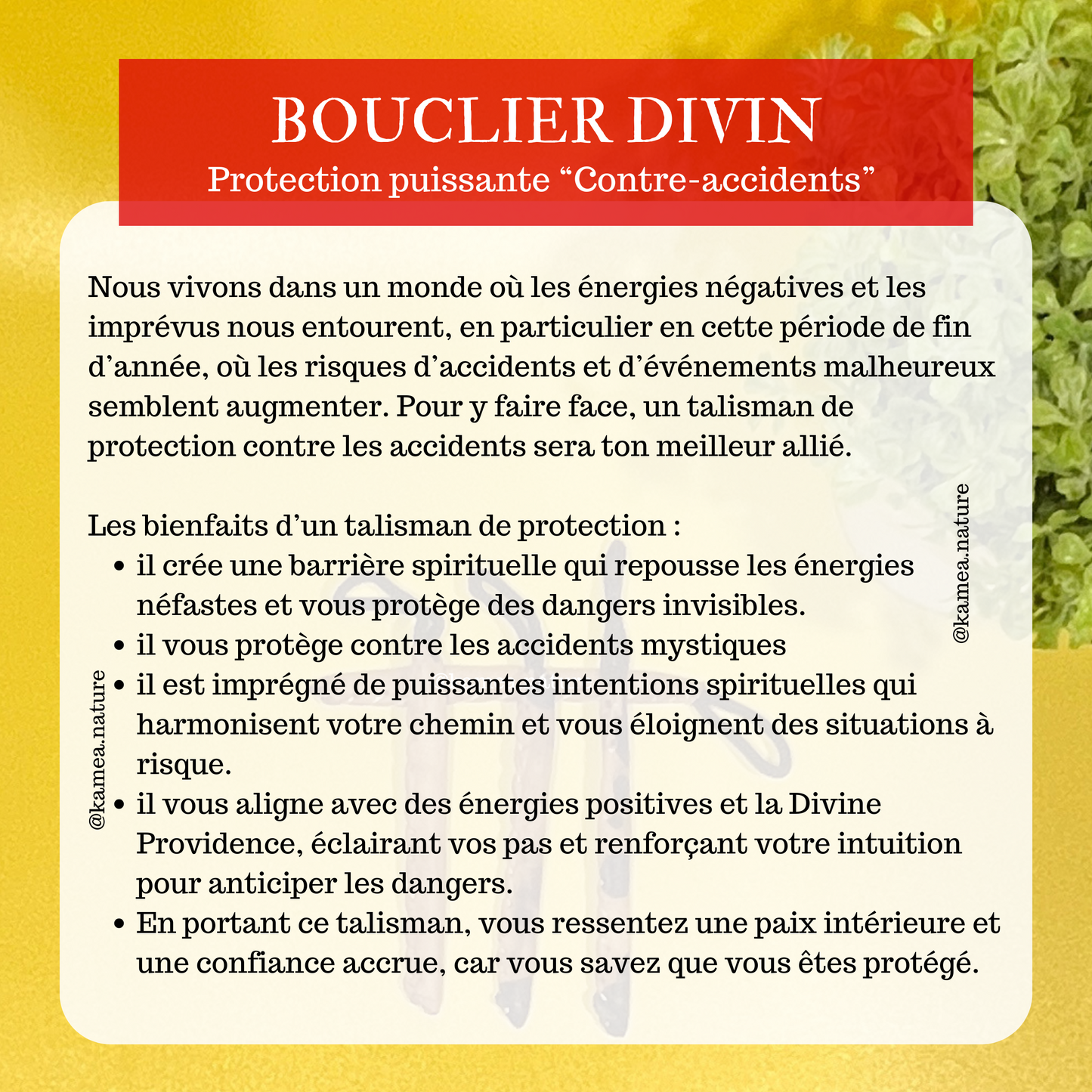 BOUCLIER DIVIN Protection spirituelle puissante - Contre accident