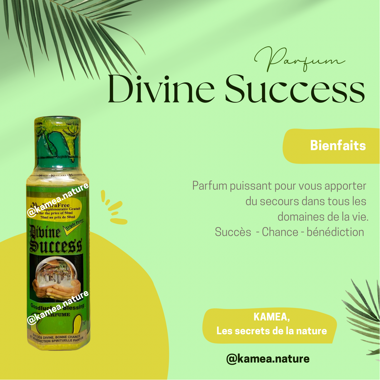Parfum Divine Success- 50ml Spirituel