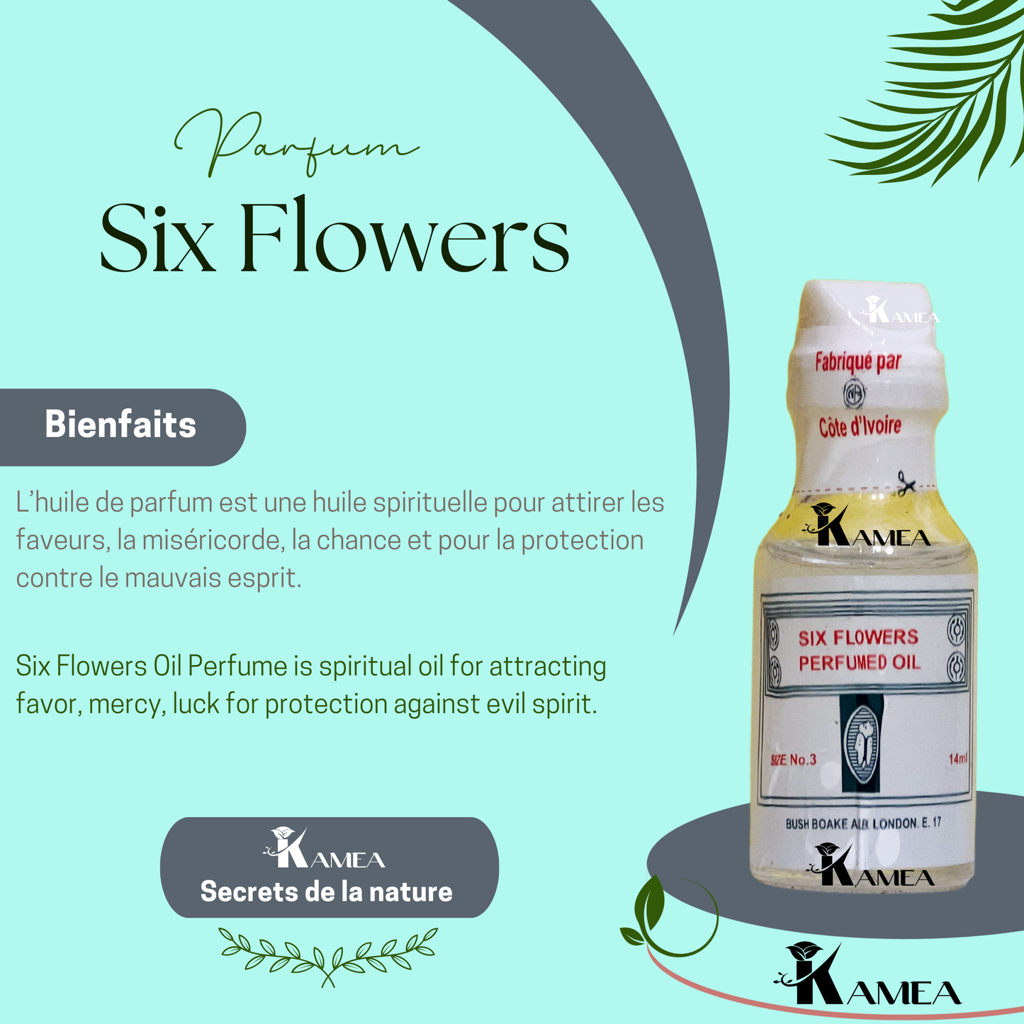 Huile de Parfum Six Flowers - CI - Contenu 18ml - Huile de parfum spirituel