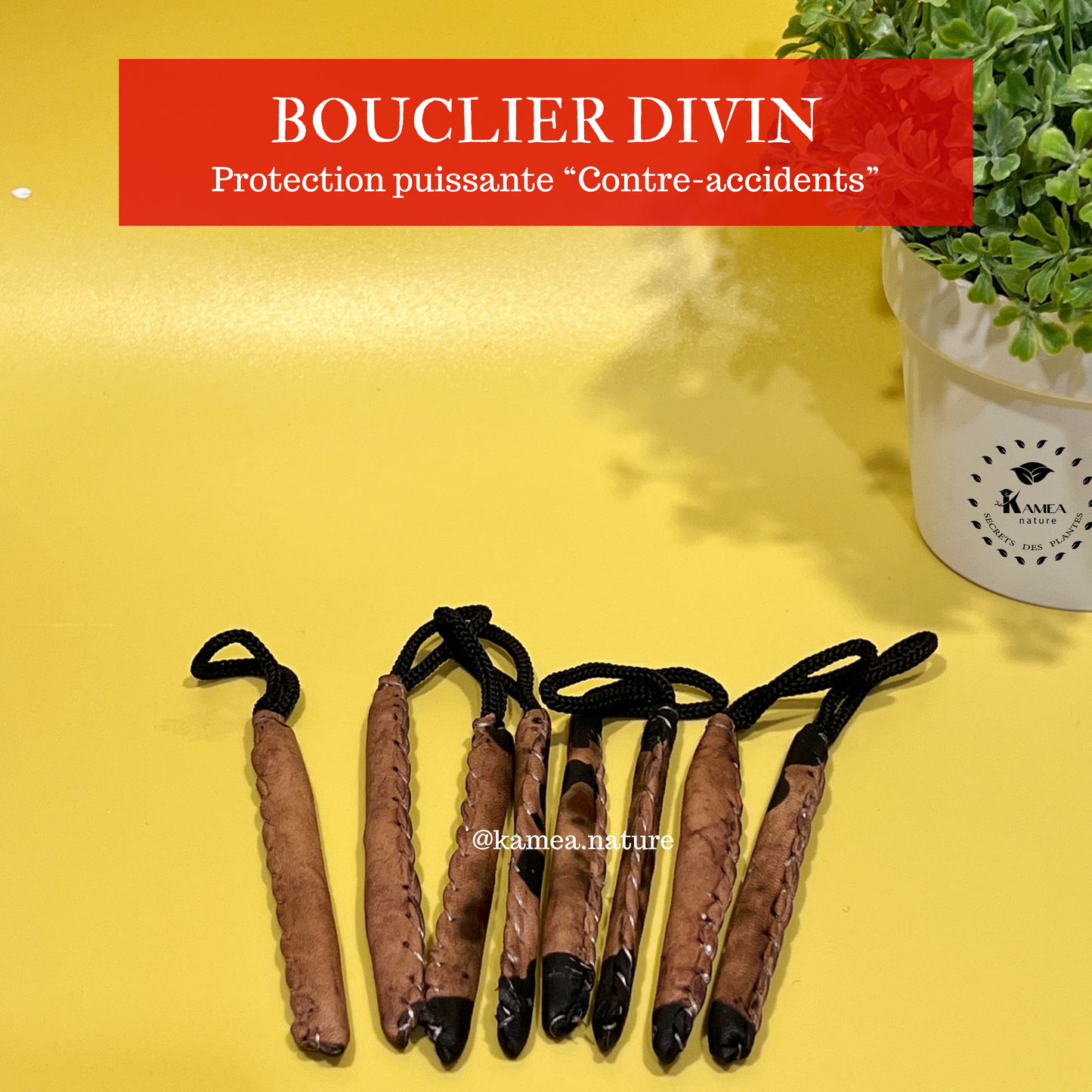 BOUCLIER DIVIN Protection spirituelle puissante - Contre accident