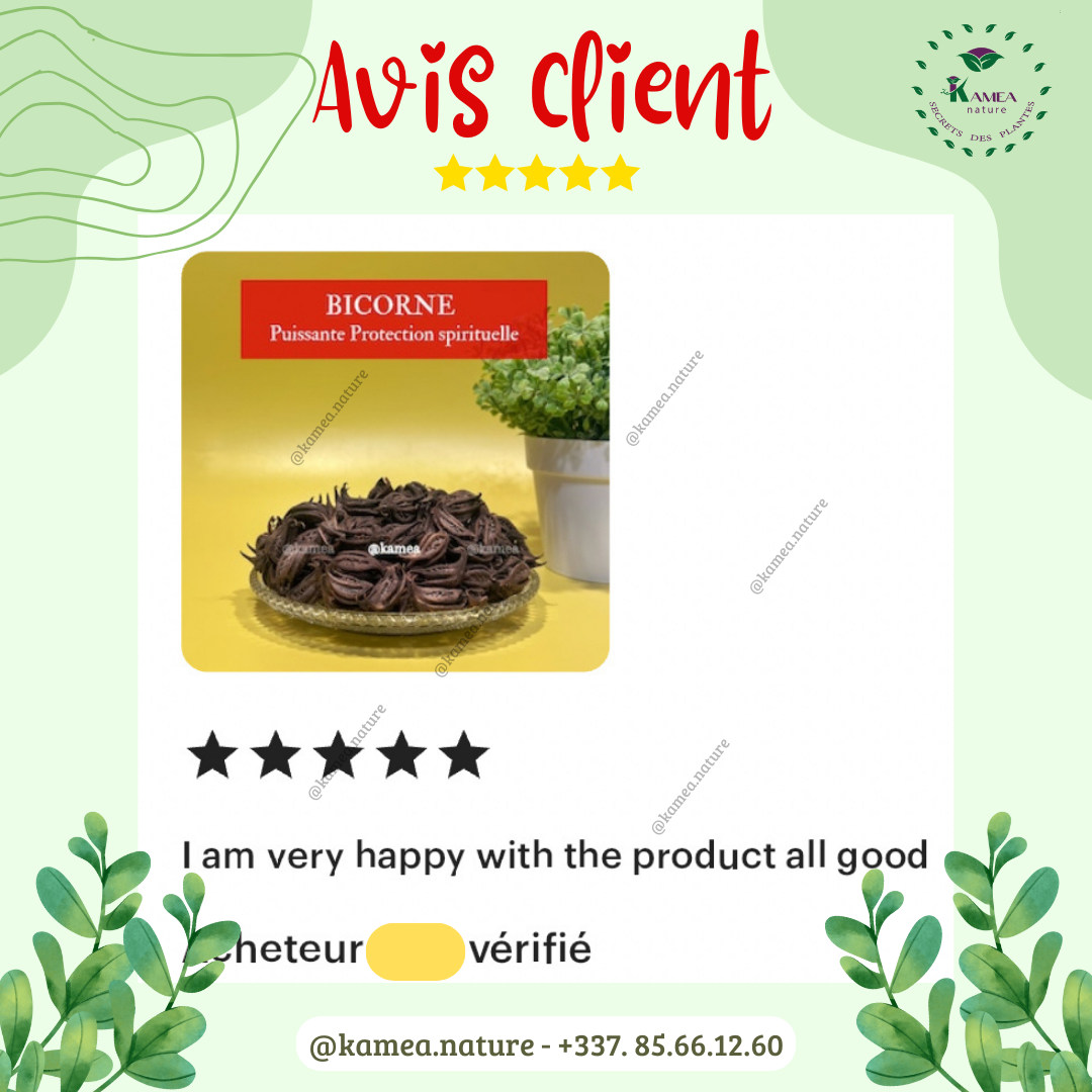 Bicorne - Griffe de lion - Puissant protection spirituelle