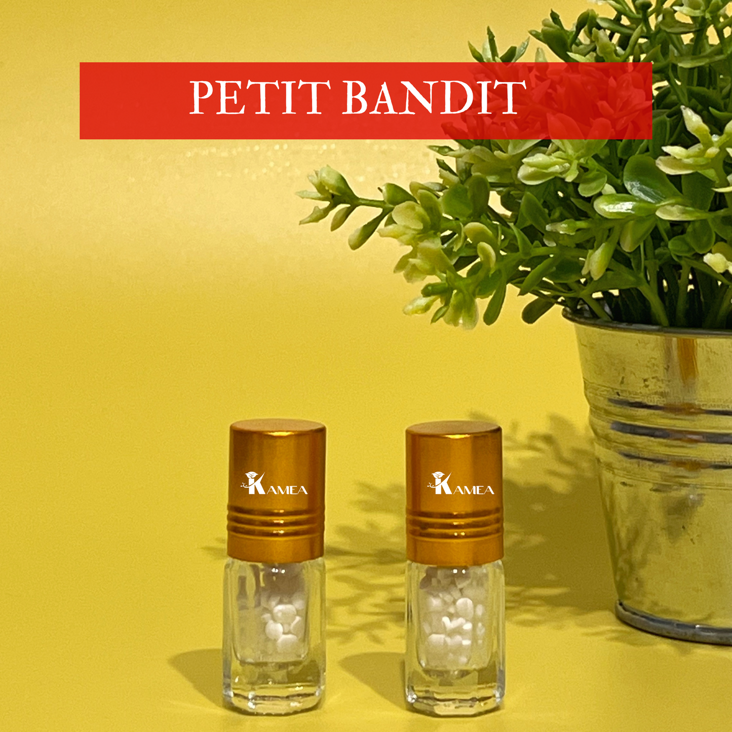 Petit bandit - Diamond kiss - aphrodisiaque