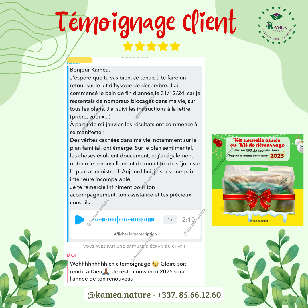 Kit de demarrage ou Kit nouvelle année - Année 2025 prospere- purification - protection - chance - Deblocage