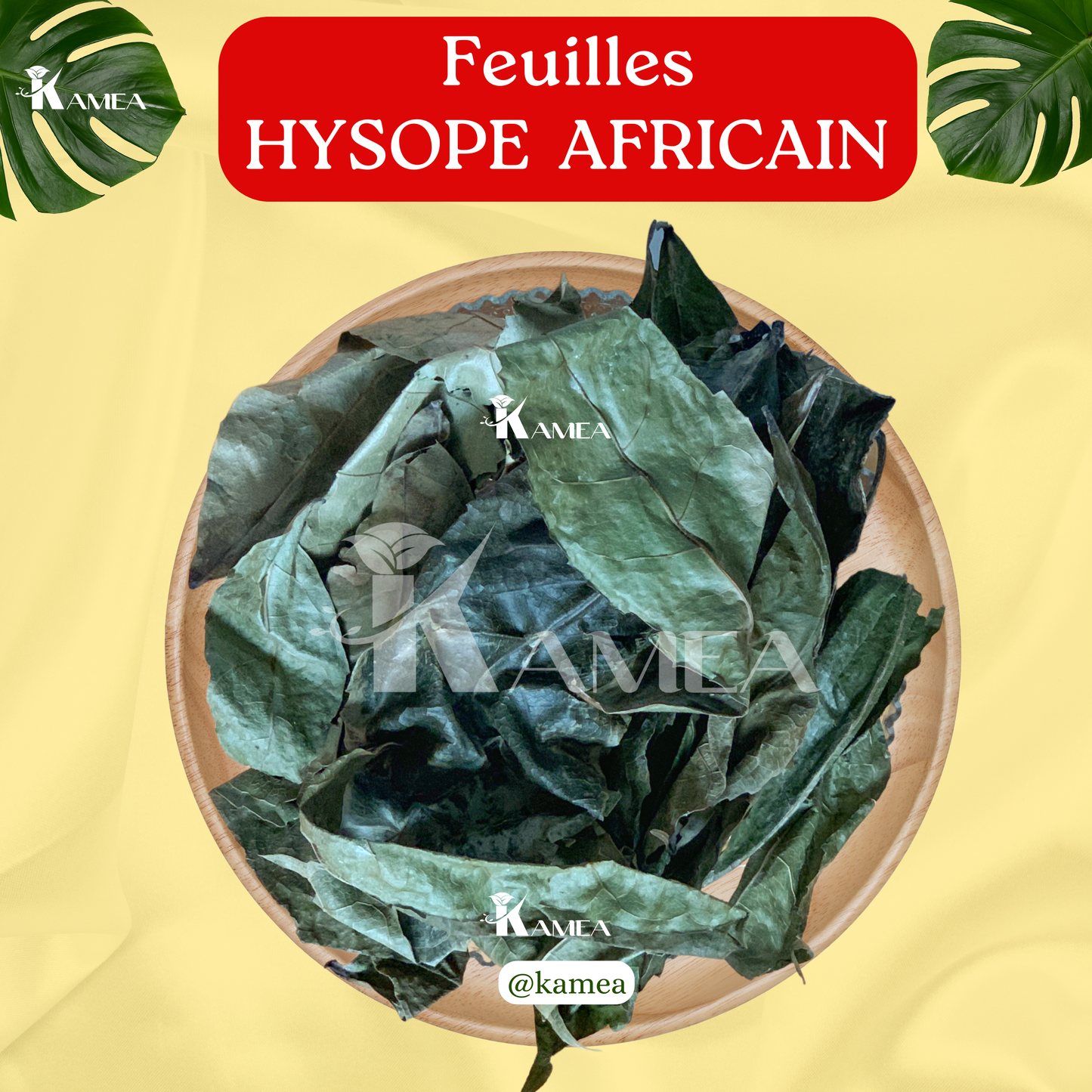 Feuille d’hysope - HYSOPE AFRICAIN - purification - chance - Desenvoutement - deblocage
