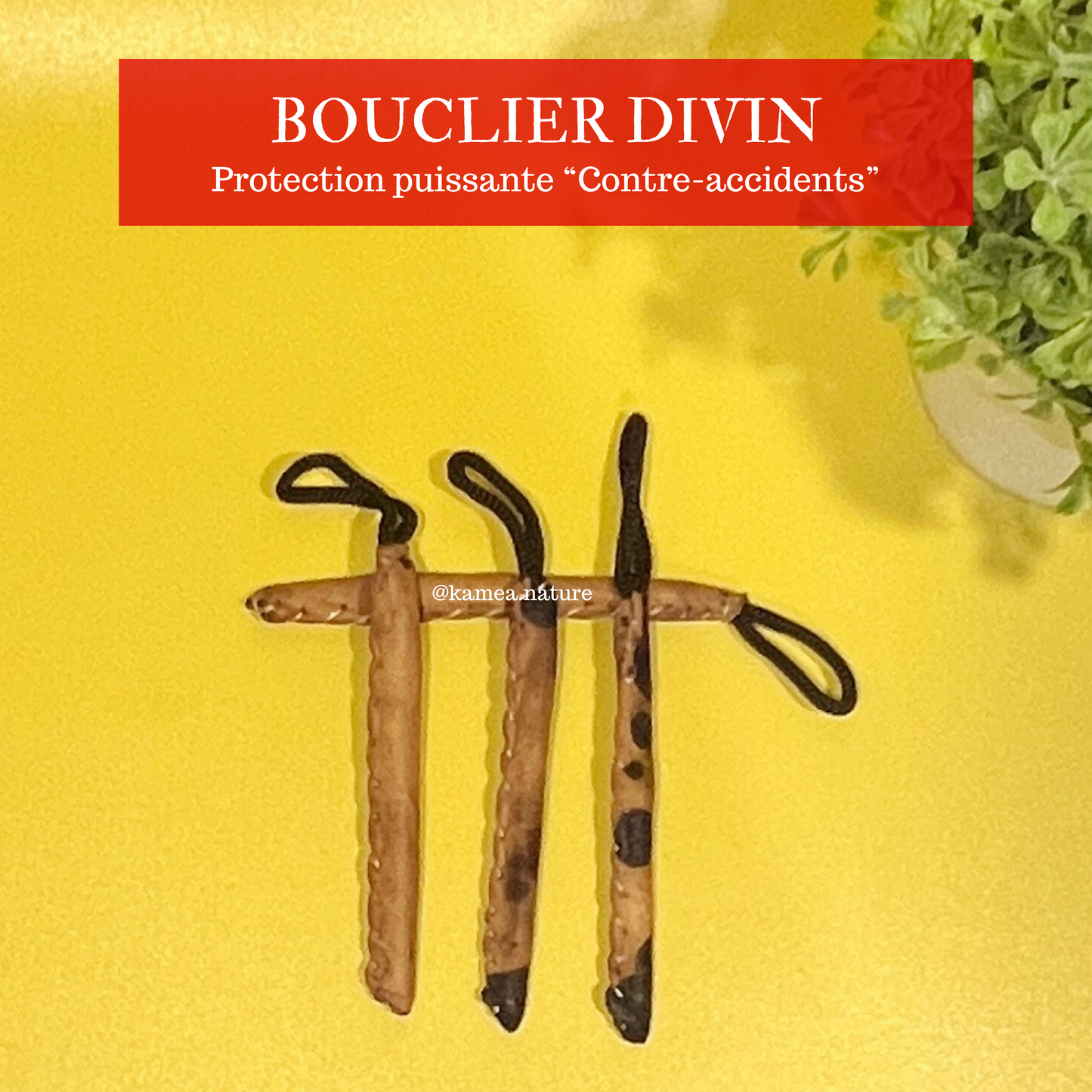BOUCLIER DIVIN Protection spirituelle puissante - Contre accident