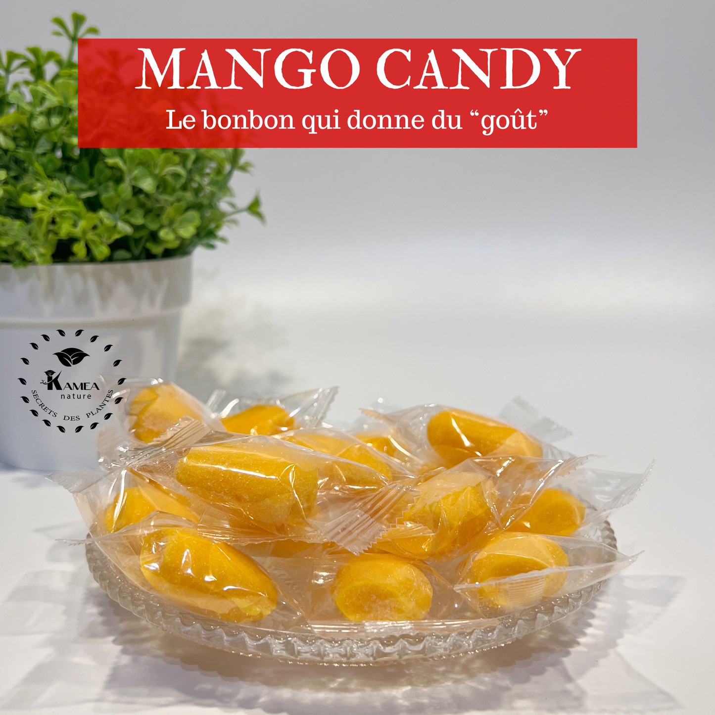 Mango Candy - bonbon mangue - seduction