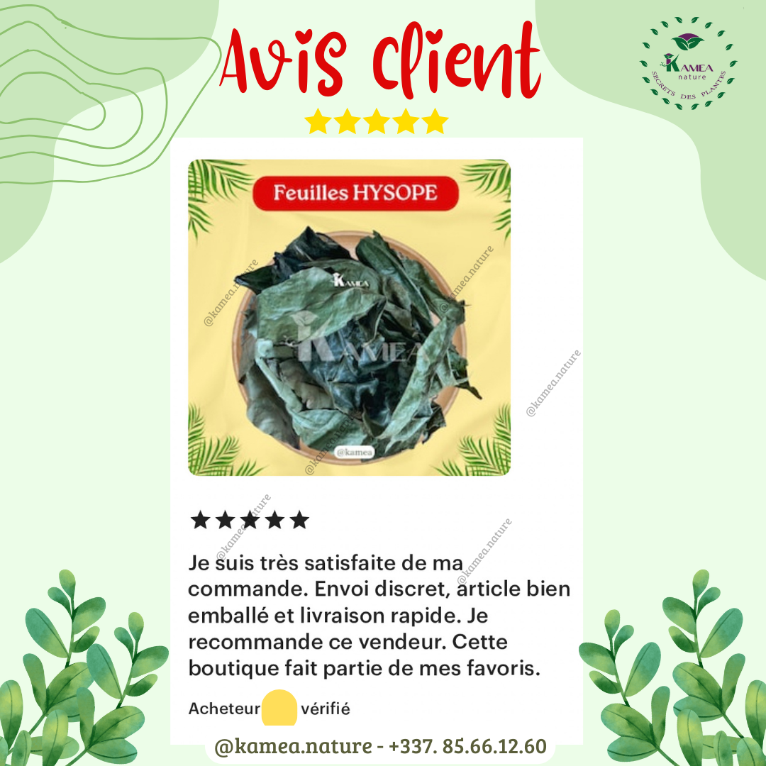 Feuille d’hysope - HYSOPE AFRICAIN - purification - chance - Desenvoutement - deblocage