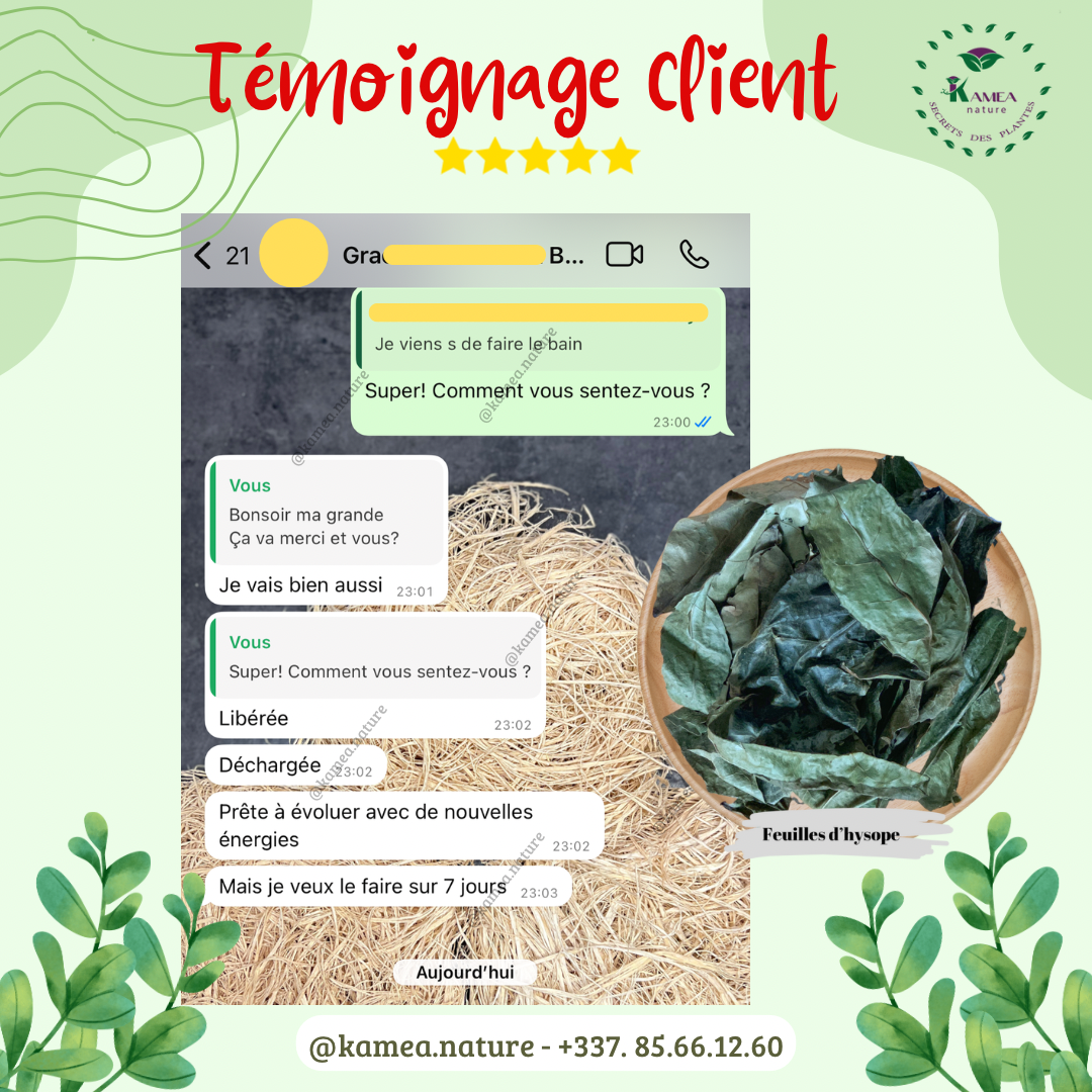 Feuille d’hysope - HYSOPE AFRICAIN - purification - chance - Desenvoutement - deblocage