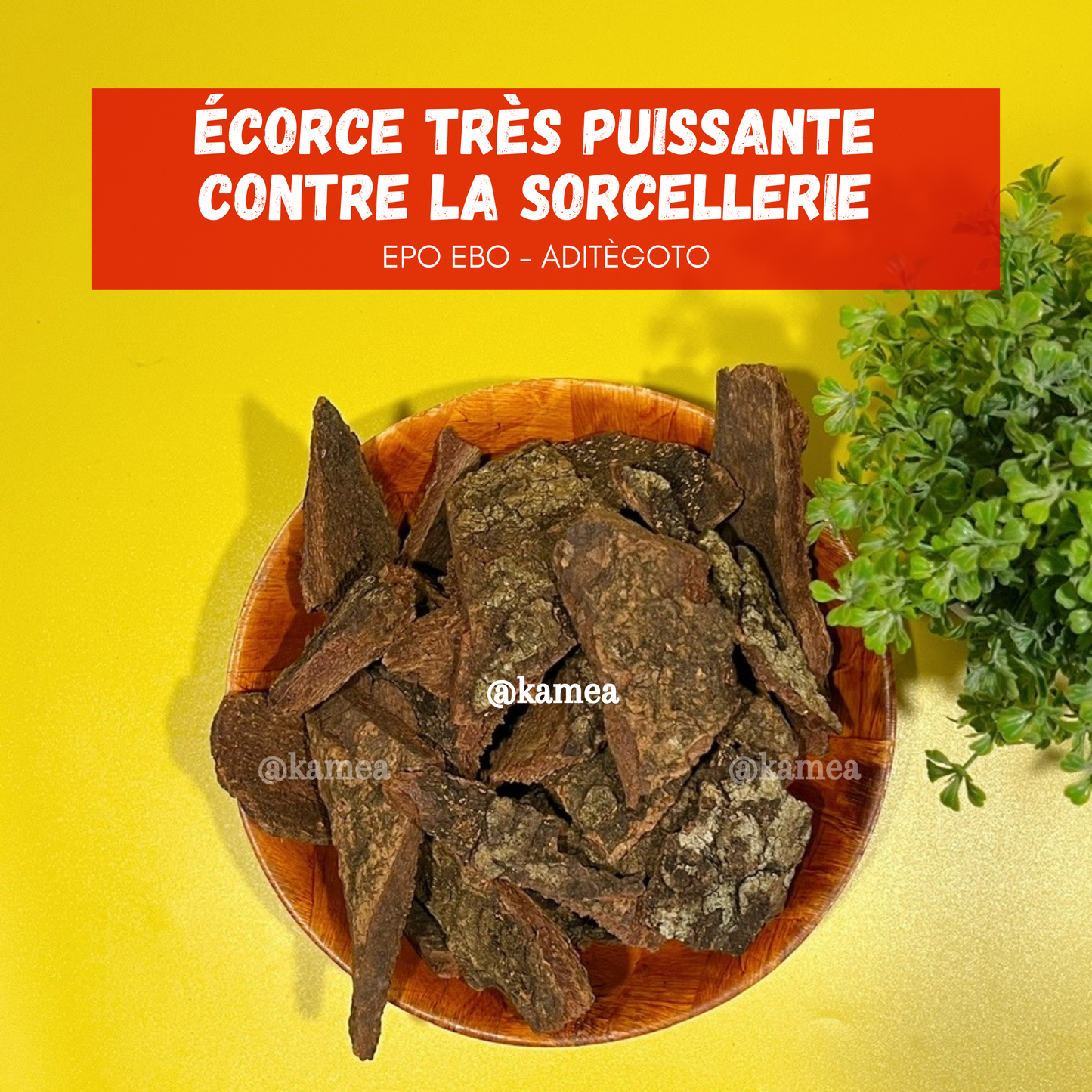 Puissante poudre ANTI-SORCELLERIE - EPO EBO - ADITÈGOTO
