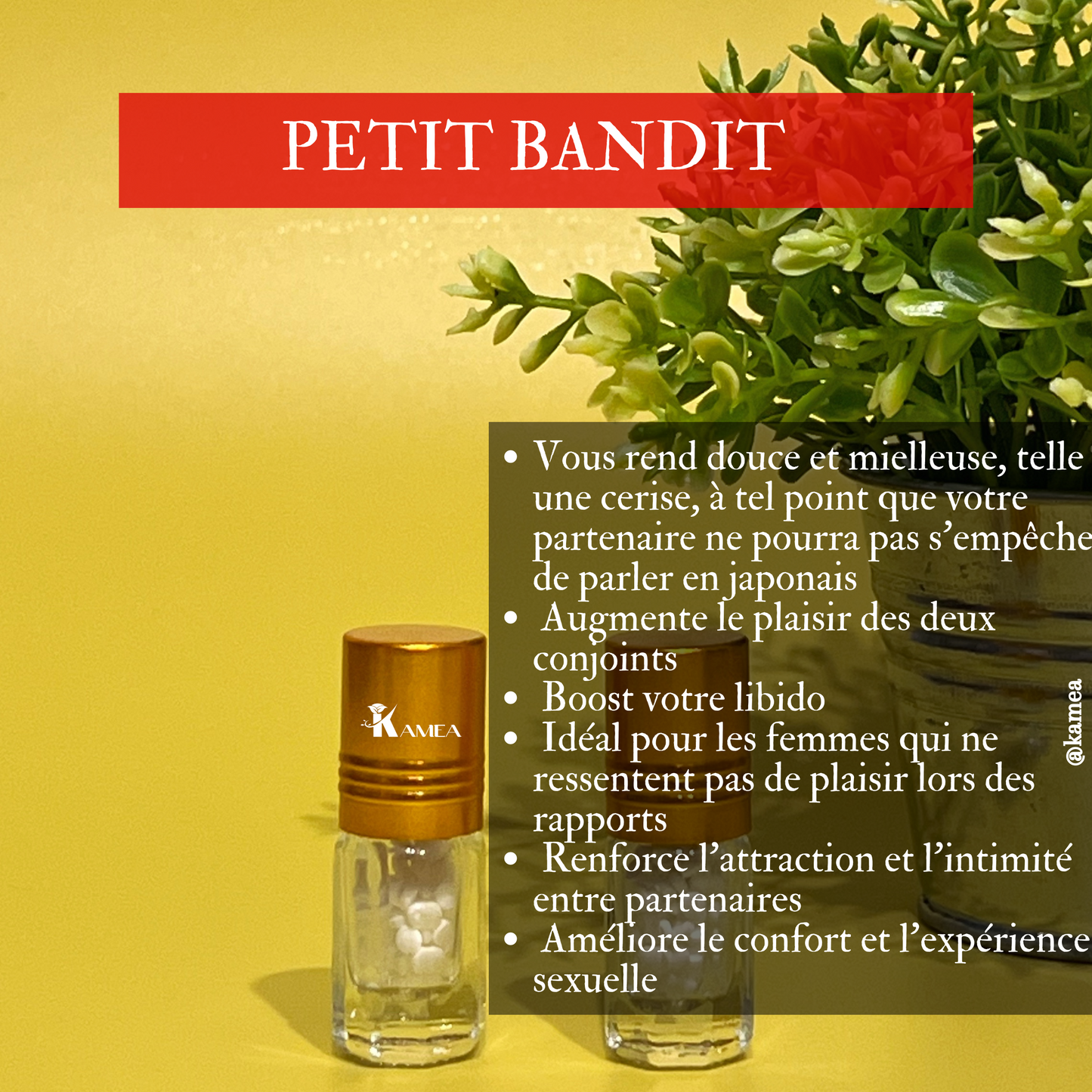 Petit bandit - Diamond kiss - aphrodisiaque