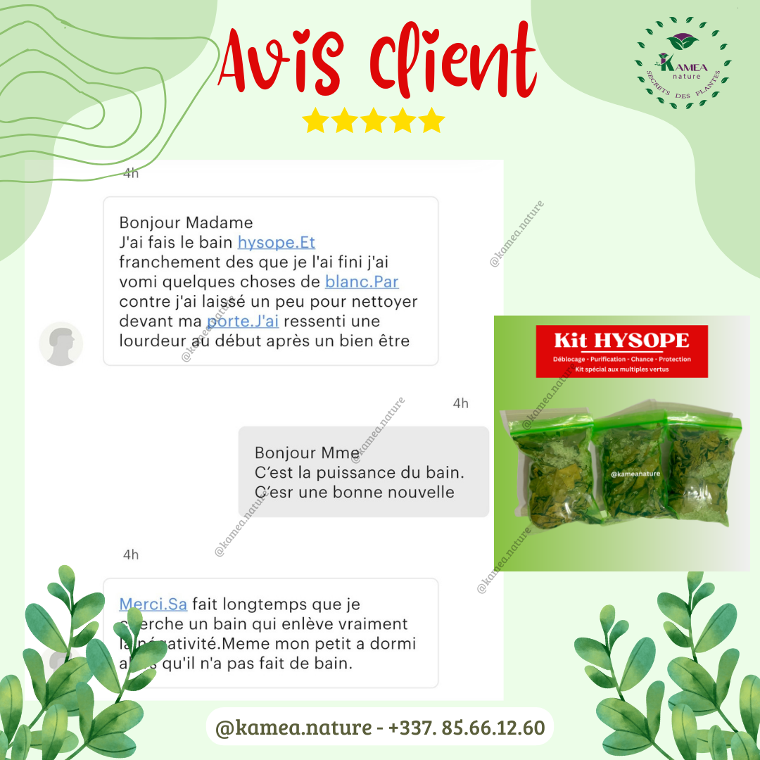 Kit d’HYSOPE Feuilles- purification - protection - chance - Deblocage
