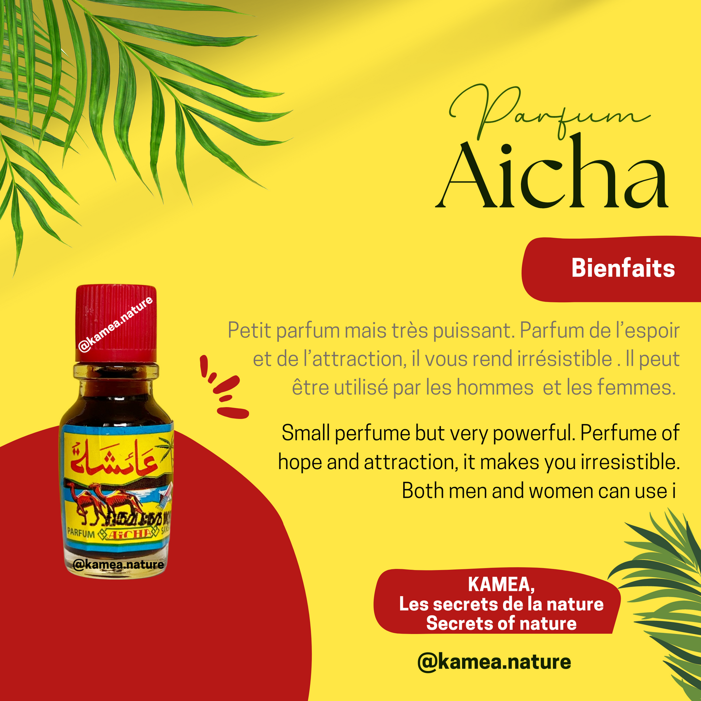 Parfum Aicha - 4ml - Parfum spirituel
