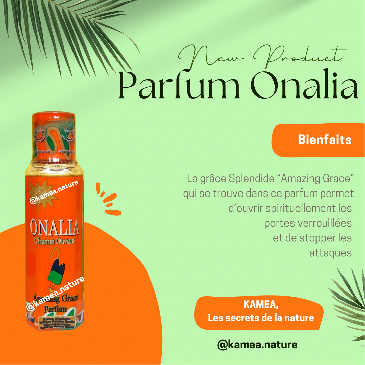 Parfum Onalia - 50ml - Parfum Spirituel