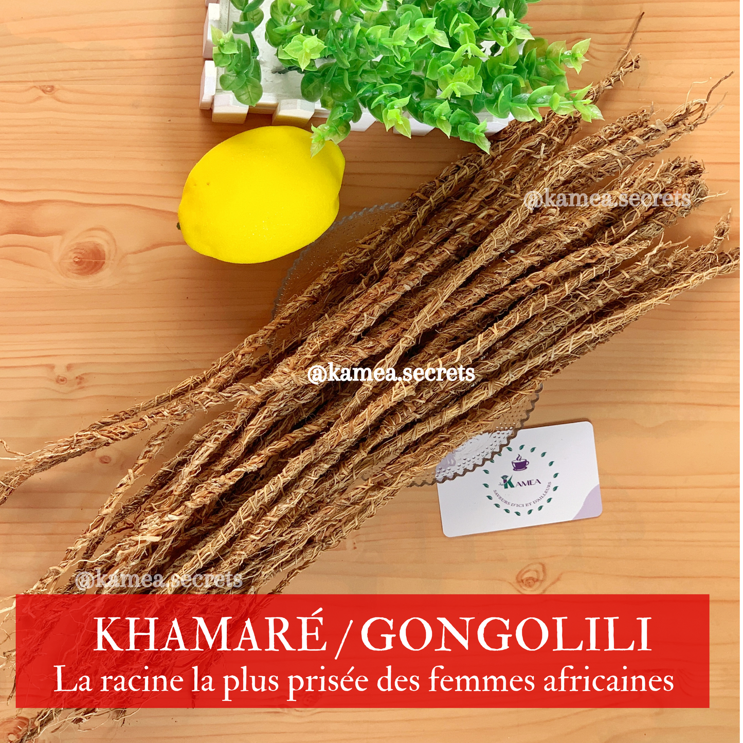 Khamare - Racine de Vetivier Africain - Sepp - Gongolili