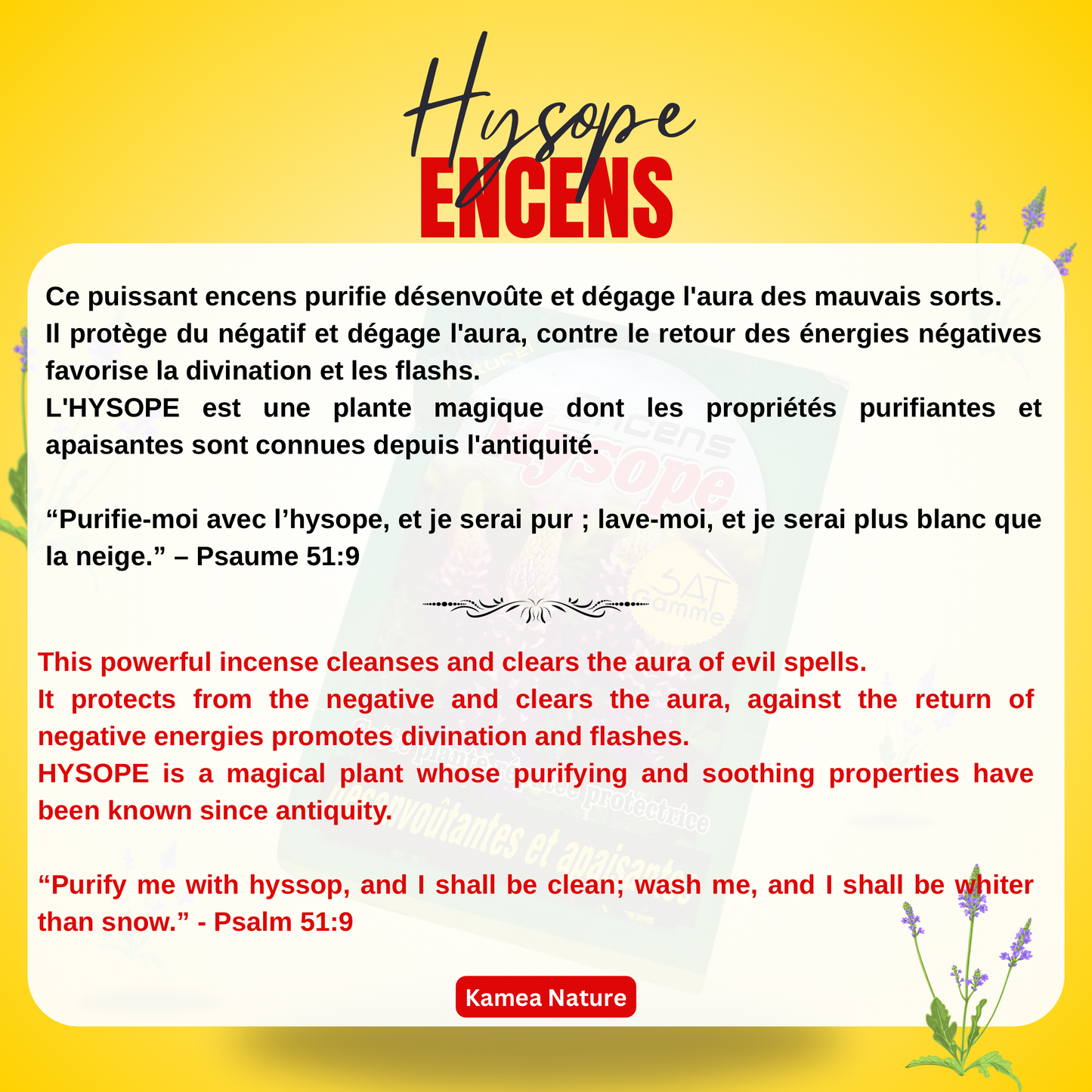 Puissant Encens HYSOPE