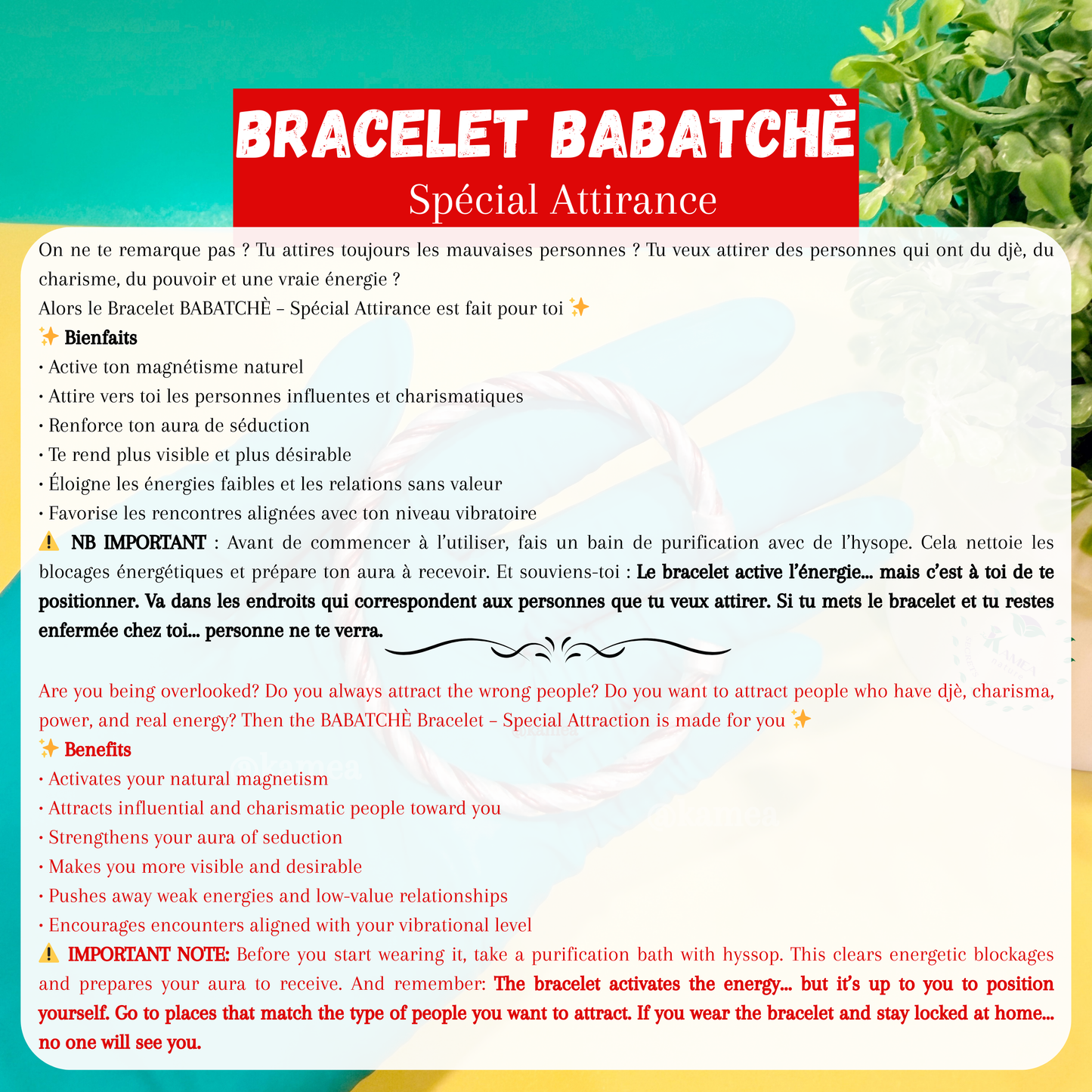 Bracelet BABATCHÈ - Puissant attirance