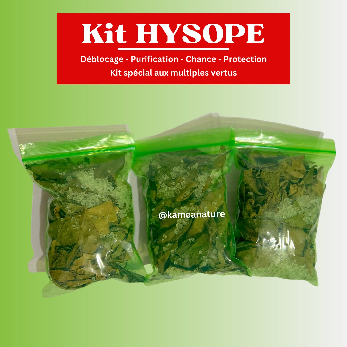 Kit d’HYSOPE Feuilles- purification - protection - chance - Deblocage