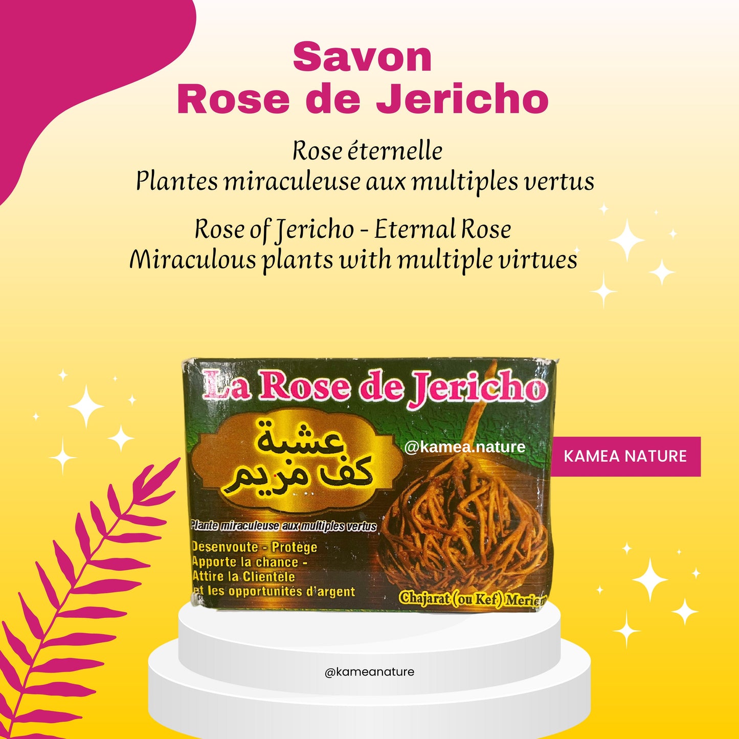 Savon ROSE DE JERICHO plante miraculeuse savon spirituel
