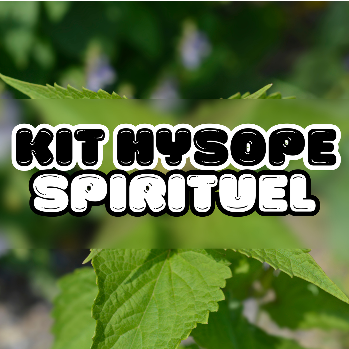 KIT HYSOPE SPIRITUEL