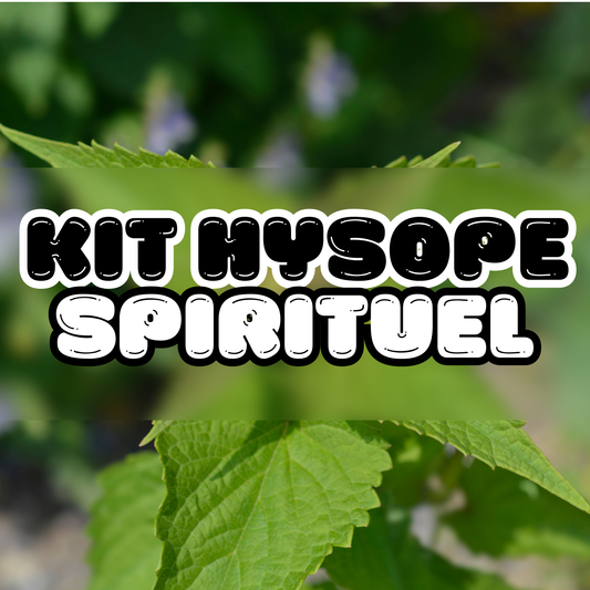 KIT HYSOPE SPIRITUEL