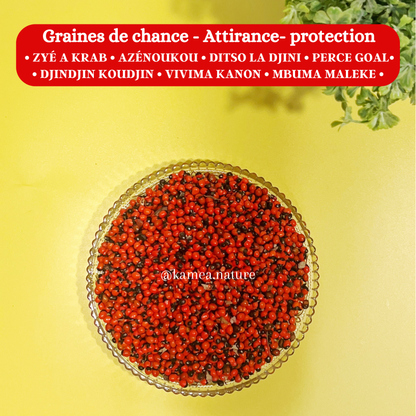 Graines Perce Goal - Oeil de crabe - Chance - Protection