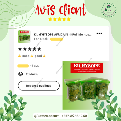 Kit  d’HYSOPE Feuilles- purification - protection -  chance - Deblocage