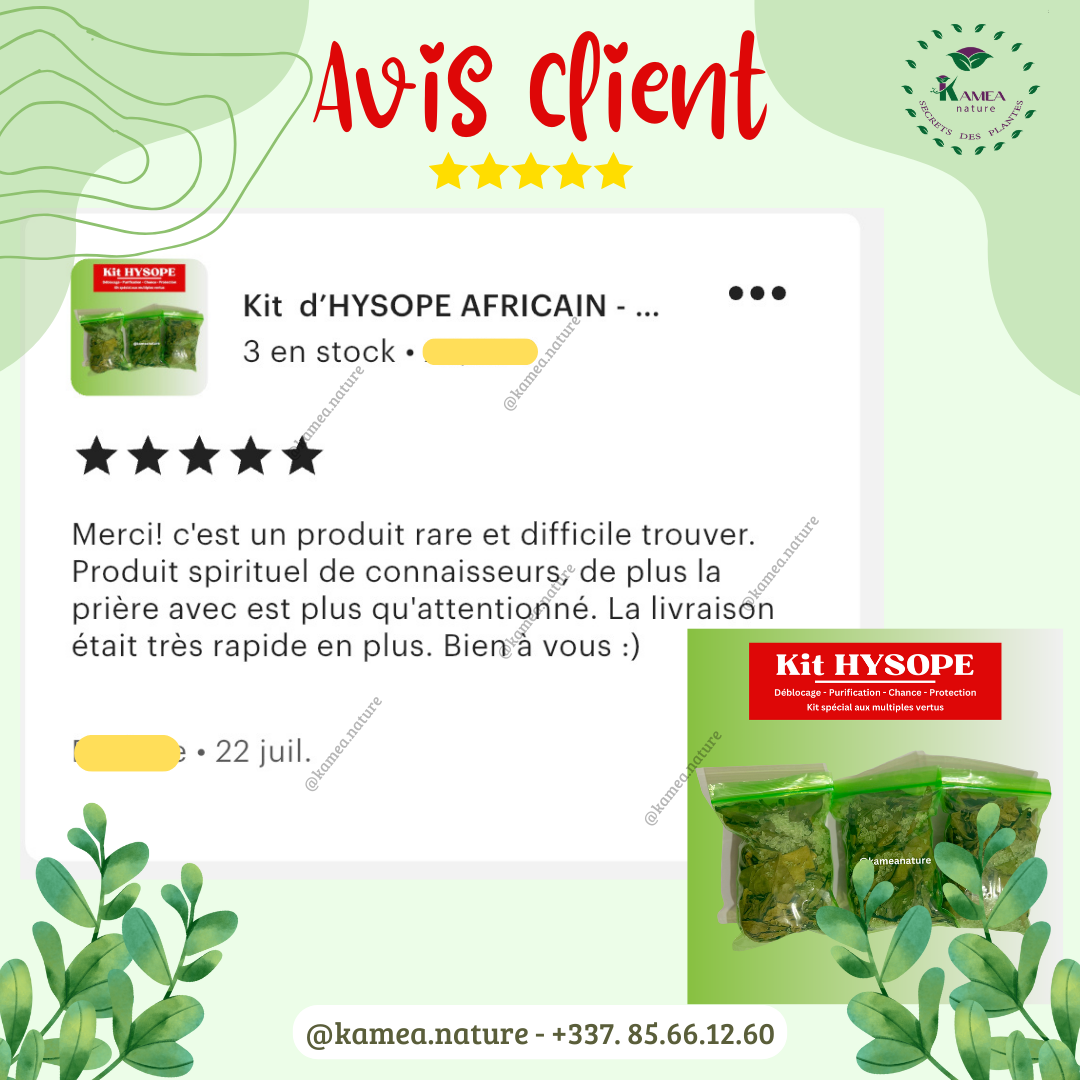 Kit  d’HYSOPE Feuilles- purification - protection -  chance - Deblocage