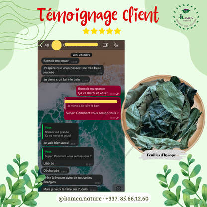 Feuille d’hysope - HYSOPE AFRICAIN - purification - chance - Desenvoutement - deblocage