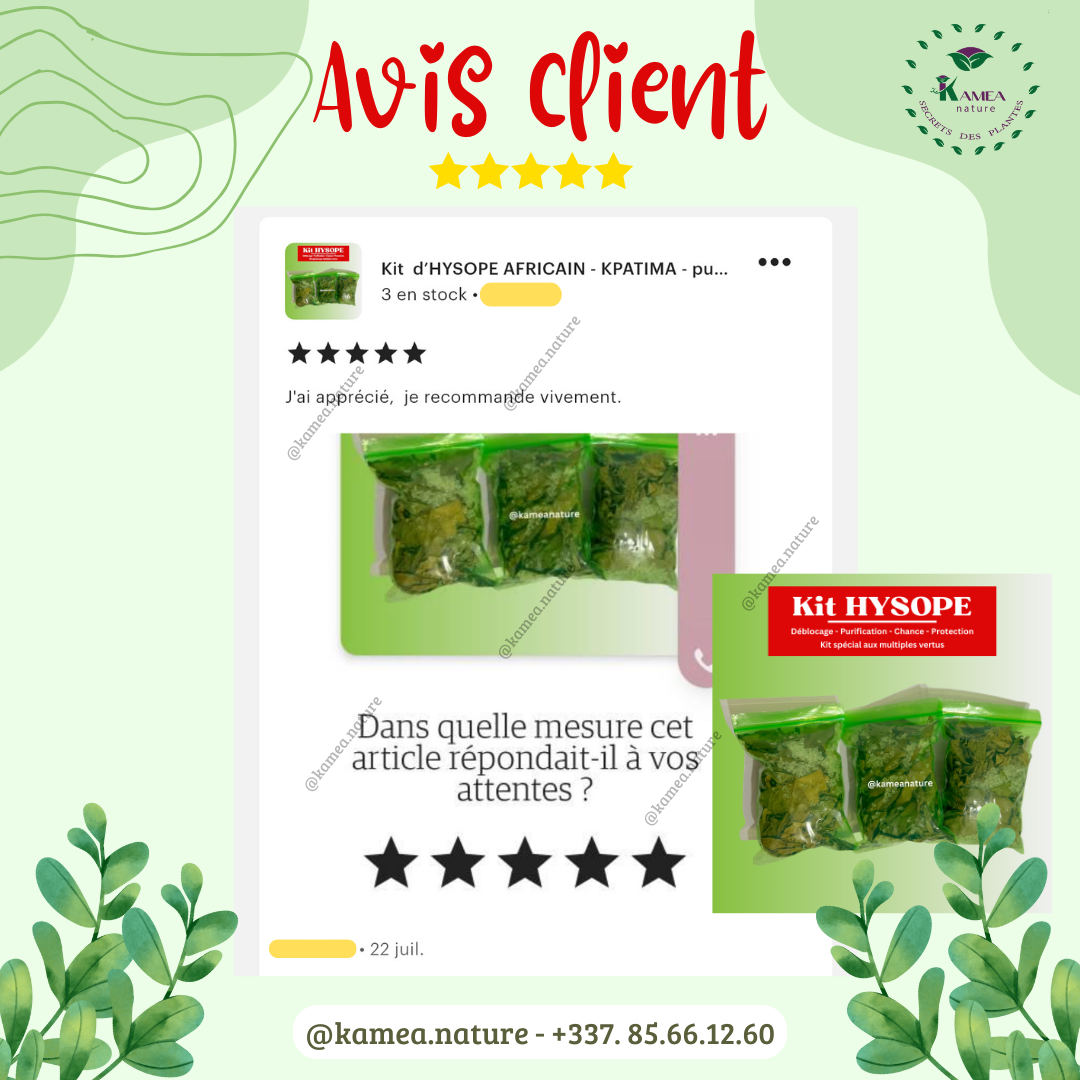 Kit  d’HYSOPE Feuilles- purification - protection -  chance - Deblocage