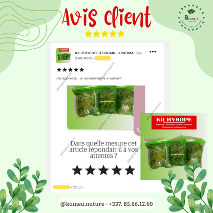 Kit  d’HYSOPE Feuilles- purification - protection -  chance - Deblocage