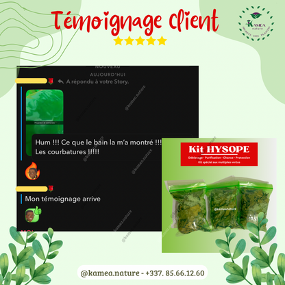 Kit  d’HYSOPE Feuilles- purification - protection -  chance - Deblocage
