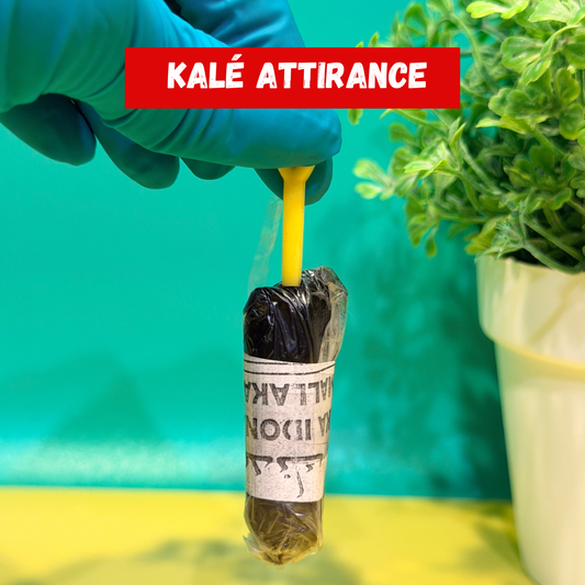 Kalé - Attirance - Séduction - Magnétisme