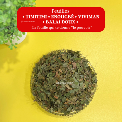 Feuilles Timitimi •Enougbé •﻿Viviman • Balai doux •