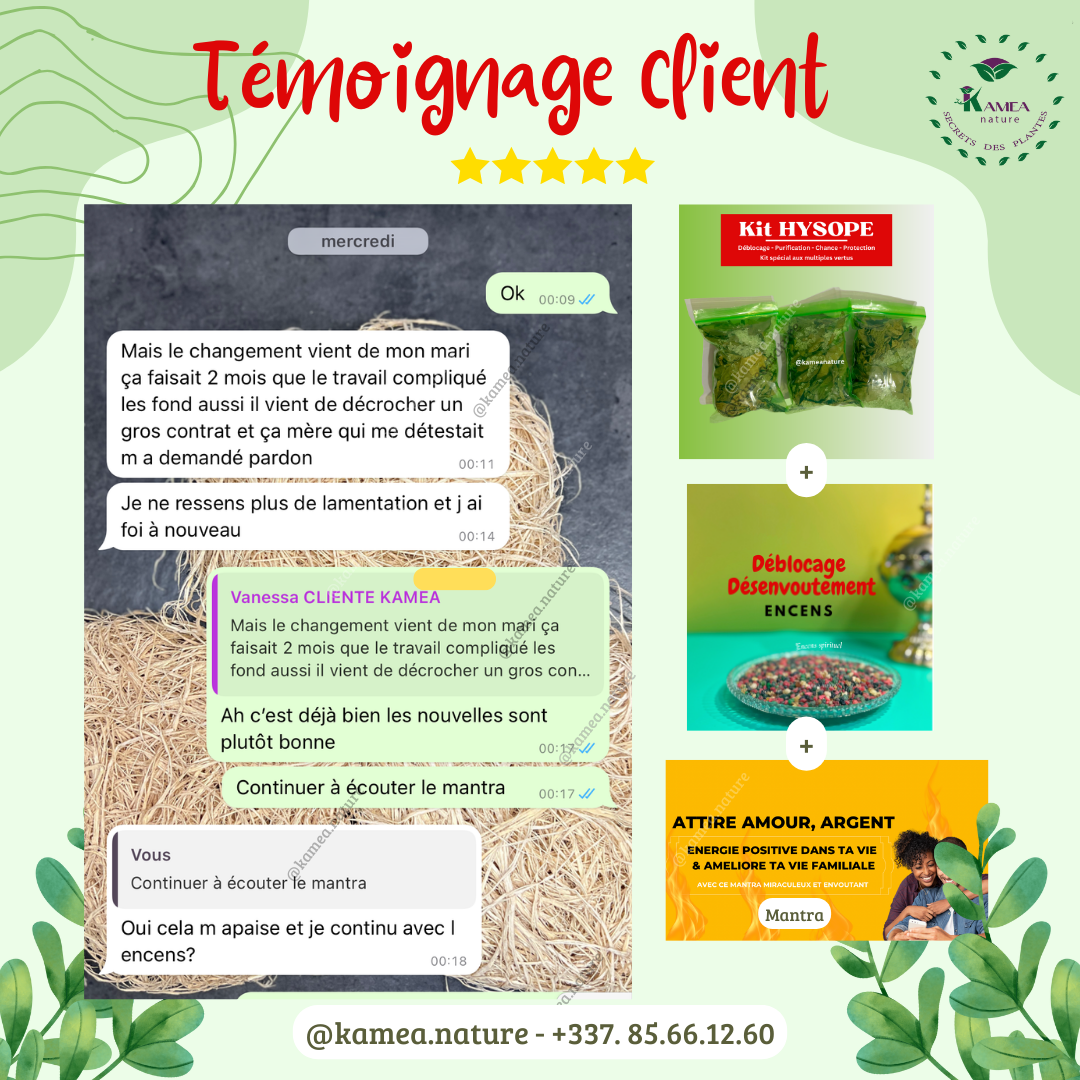 Kit  d’HYSOPE Feuilles- purification - protection -  chance - Deblocage
