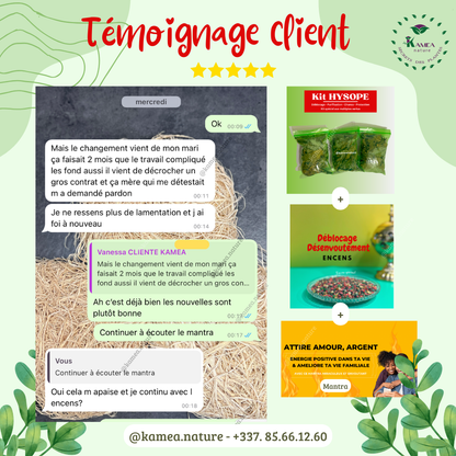 Kit  d’HYSOPE Feuilles- purification - protection -  chance - Deblocage