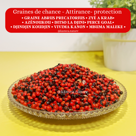 Graines d’abrus Precatorius - Oeil de crabe - Chance - Protection