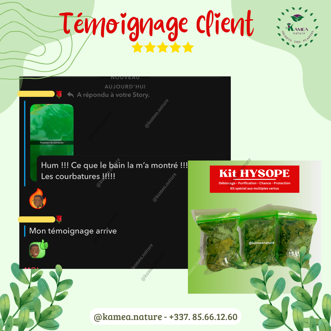 Kit  d’HYSOPE Feuilles- purification - protection -  chance - Deblocage