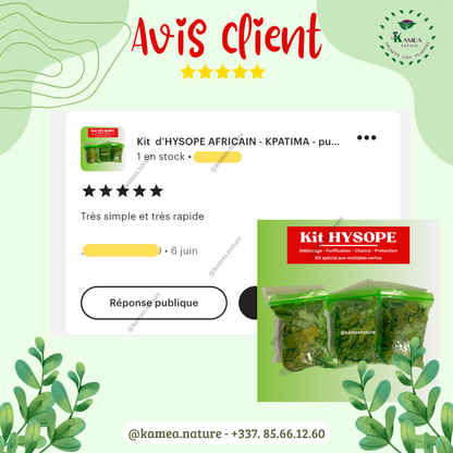 Kit  d’HYSOPE Feuilles- purification - protection -  chance - Deblocage