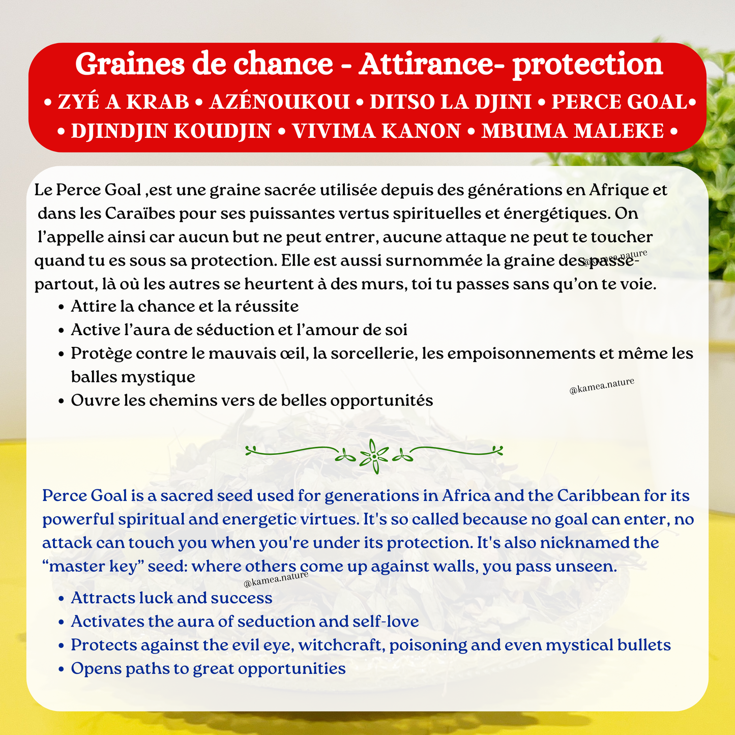 Graines Perce Goal - Oeil de crabe - Chance - Protection