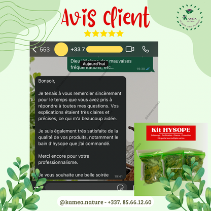 Kit  d’HYSOPE Feuilles- purification - protection -  chance - Deblocage