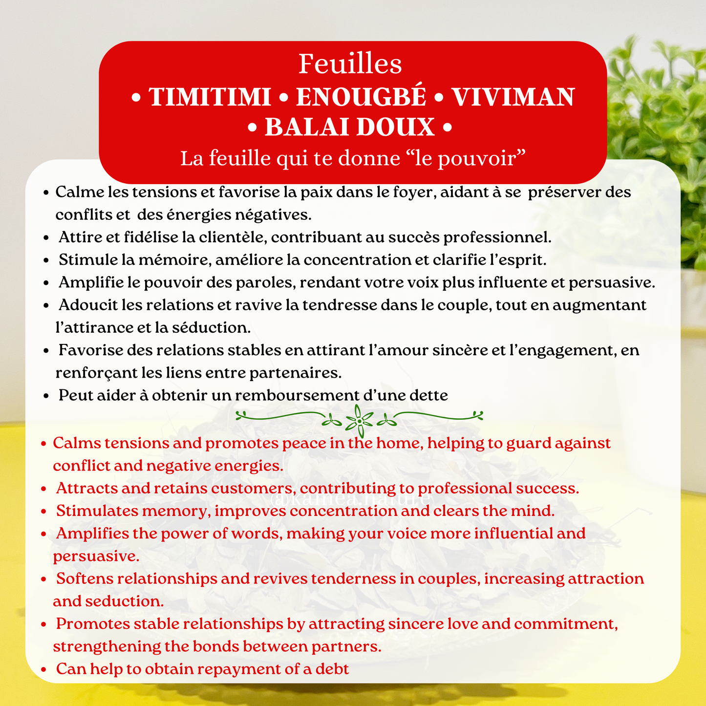 Feuilles Timitimi •Enougbé •﻿Viviman • Balai doux •