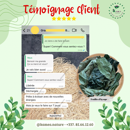 Feuille d’hysope - HYSOPE AFRICAIN - purification - chance - Desenvoutement - deblocage
