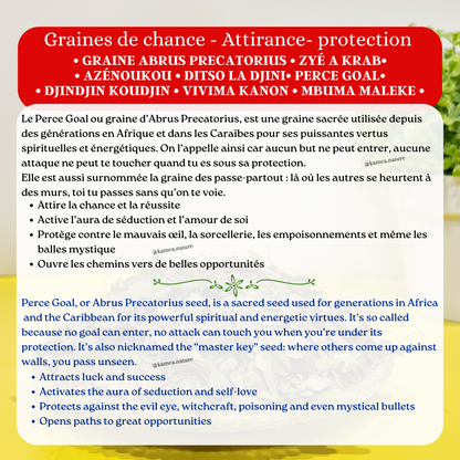 Graines d’abrus Precatorius - Oeil de crabe - Chance - Protection