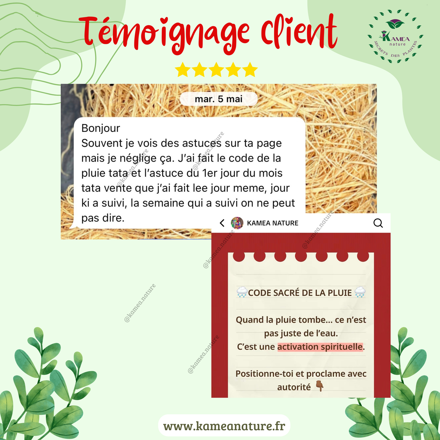 Parfum Business - 50ml