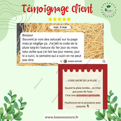Parfum Business - 50ml